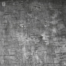 the album cover for Timothy Archambault - Onimikig