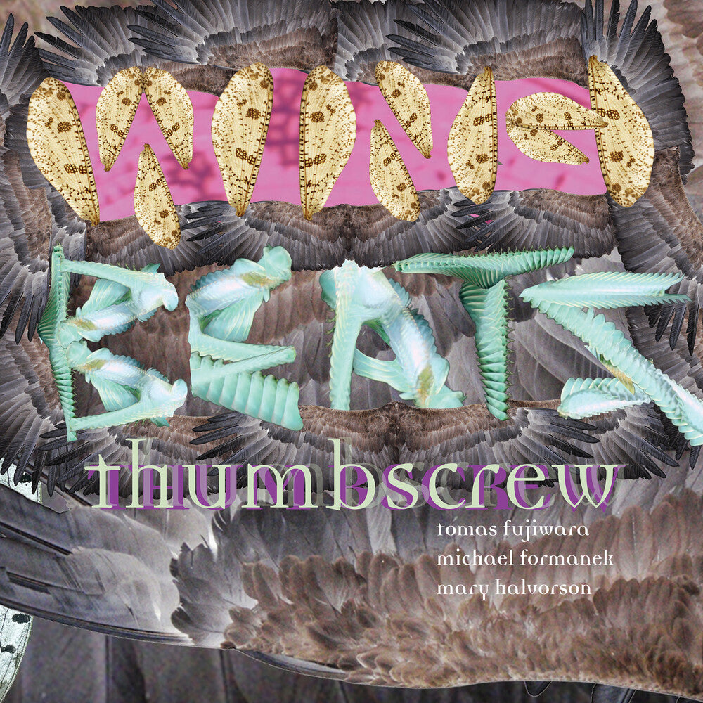 the album cover for Thumbscrew - Wingbeats