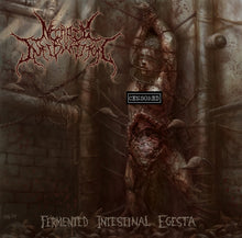the album cover for Necrotic Infibulation - Fermented Intestinal Egesta