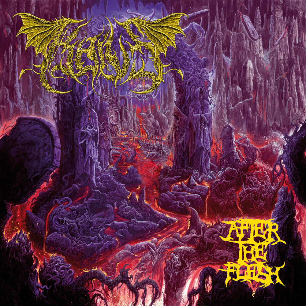 Kaivs - After The Flesh Music CD