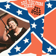 the album cover for Del Wood - Are You From Dixie? (Mod)