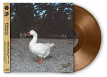 the album cover for Leah Dou - Spring Tour - Limited Edition (Brwn) [Clear Vinyl] [Limited Edition]