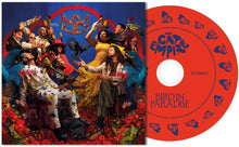 Cat Empire - Bird In Paradise (Sft) [CD]