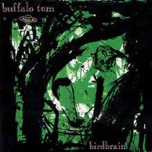 the album cover for Buffalo Tom - Birdbrain
