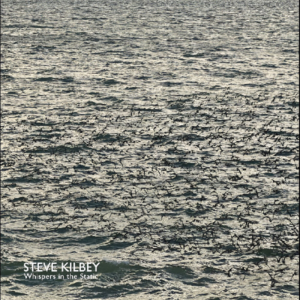 the album cover for Steve Kilbey - Whispers In The Static [Colored Vinyl] (Gry)
