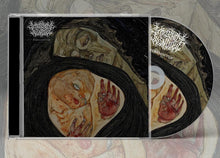 the album cover for Mosaic Window - Hemasanctum