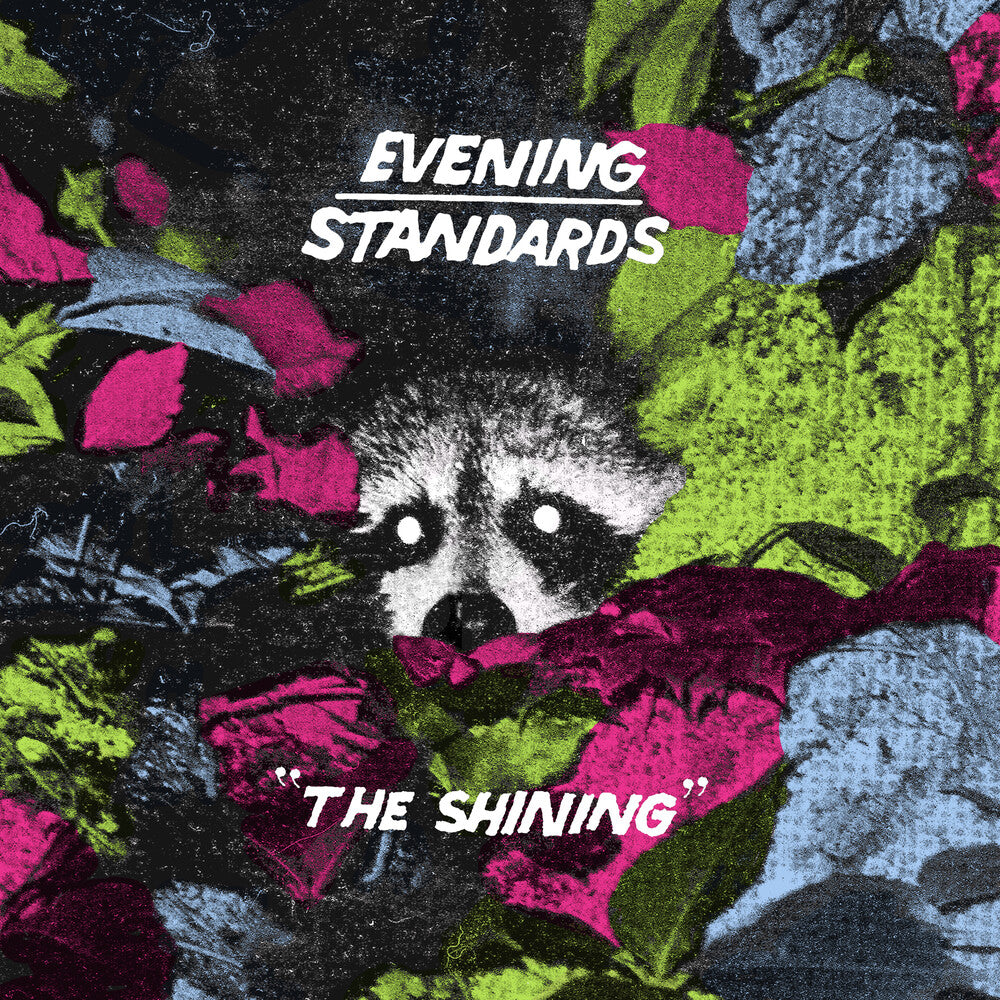 the album cover for Evening Standards - Shining