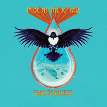 the album cover for Mdou Moctar - Tears Of Injustice