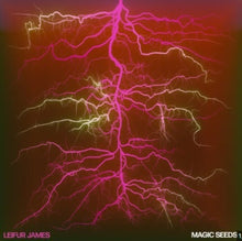 the album cover for James, Leifur - Magic Seeds