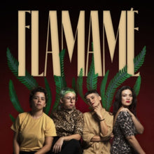 the album cover for Flamame - Flamame