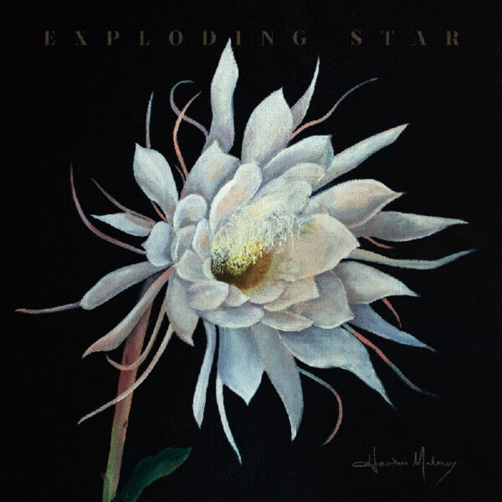 the album cover for Heather Maloney - Exploding Star