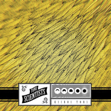 the album cover for Tone Scientists - Kiiroi Tori