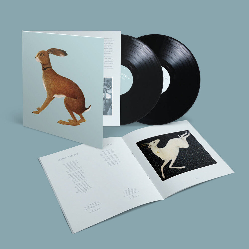 Vashti Bunyan - Lookaftering ( Expanded ) (Exp) [LP] Vinyl Record