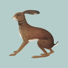 the album cover for Vashti Bunyan - Lookaftering ( Expanded )