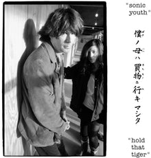 Sonic Youth - Hold That Tiger [Colored Vinyl] Vinyl Record
