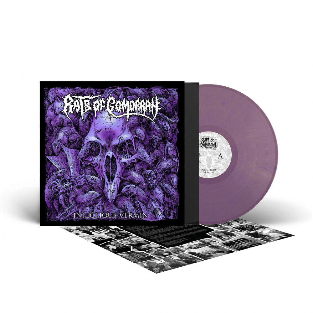 the album cover for Rats Of Gomorrah - Infectious Vermin - Purple [Colored Vinyl] (Gol) [Limited Edition]