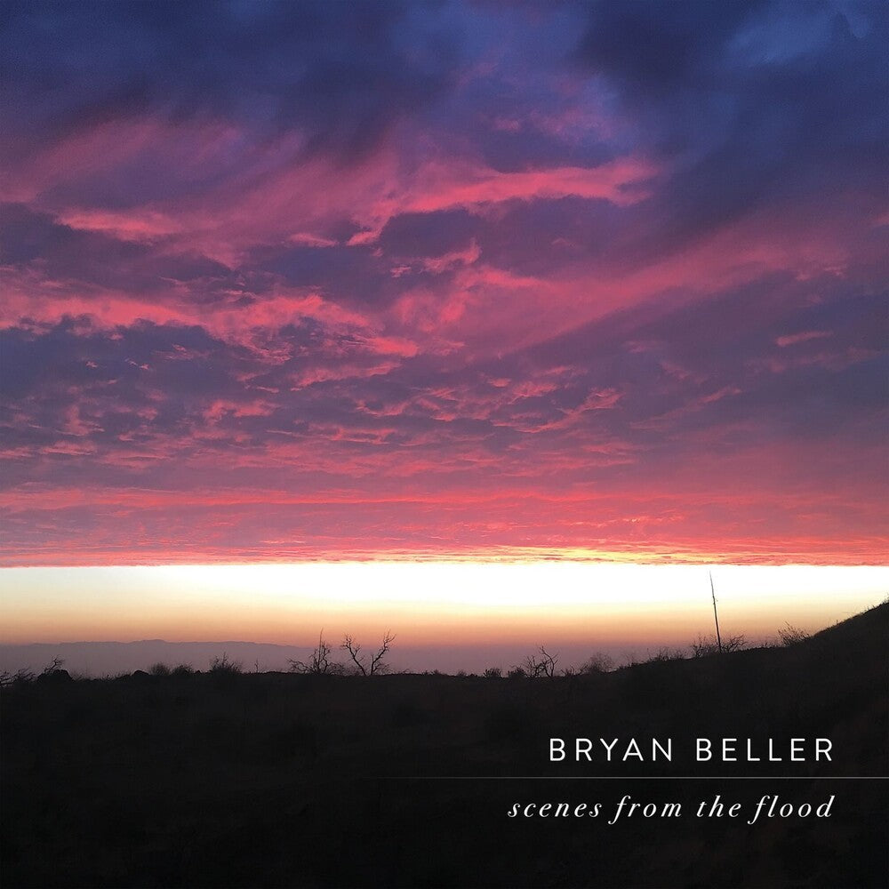 the album cover for Bryan Beller - Scenes From The Flood (Aus)