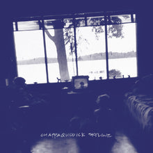 the album cover for Pernice Brothers - Chappaquiddick Skyline