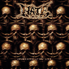 the album cover for Hate - Awakening Of The Liar [Limited Edition] [Digipak]