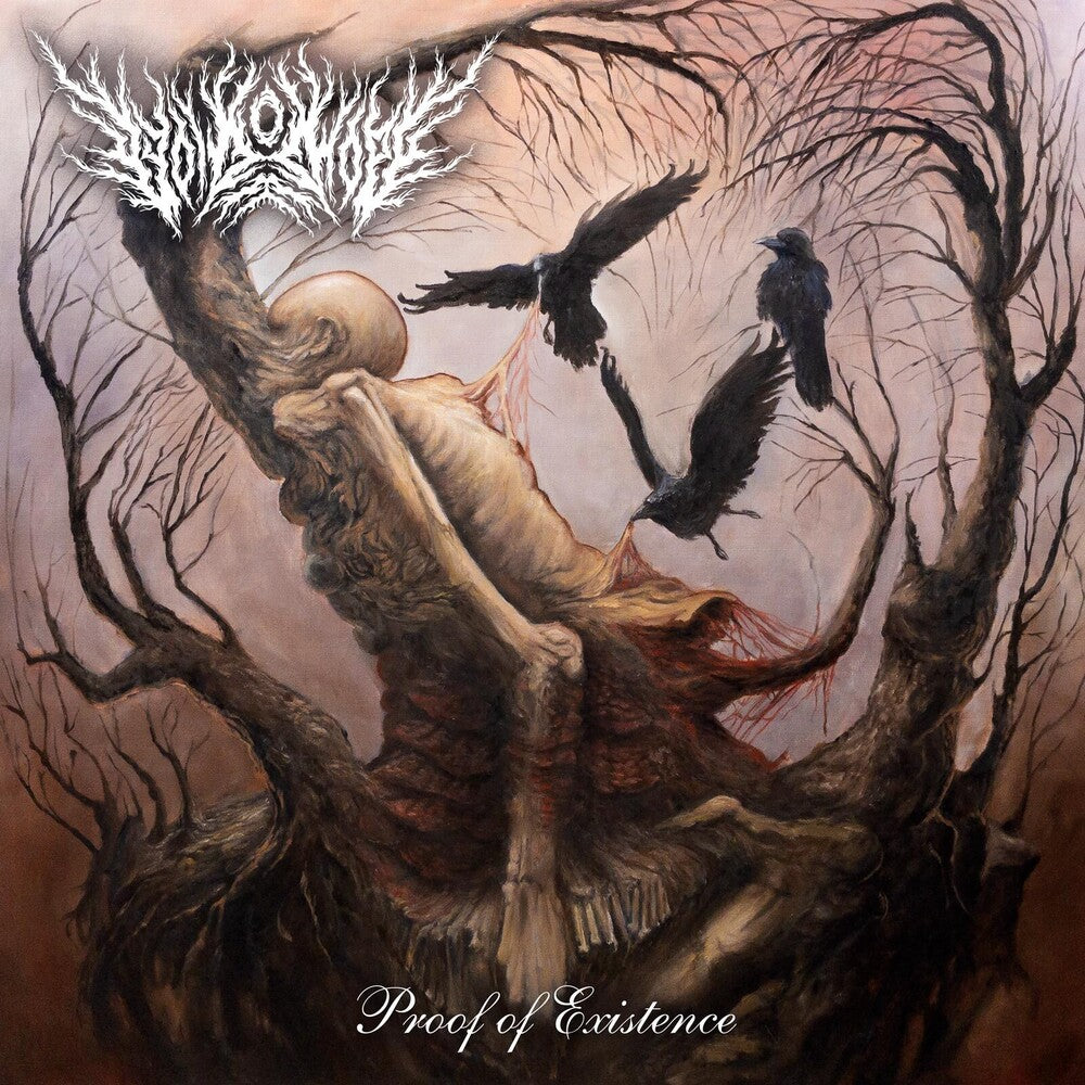 the album cover for Void Of Hope - Proof Of Existence