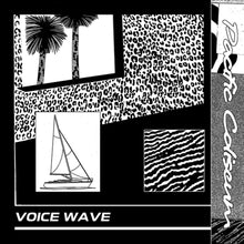 the album cover for Pacific Coliseum / Teen Daze - Voice Wave