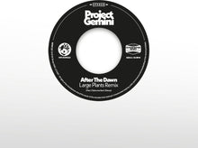 the album cover for Project Gemini - After The Dawn - Large Plants Remix / Darkness