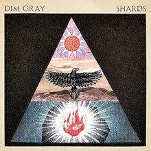 the album cover for Dim Gray - Shards (Uk)
