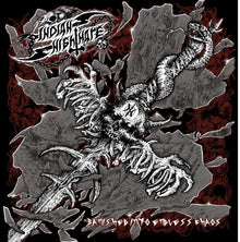 the album cover for Indian Nightmare - Banished Into Endless Chaos