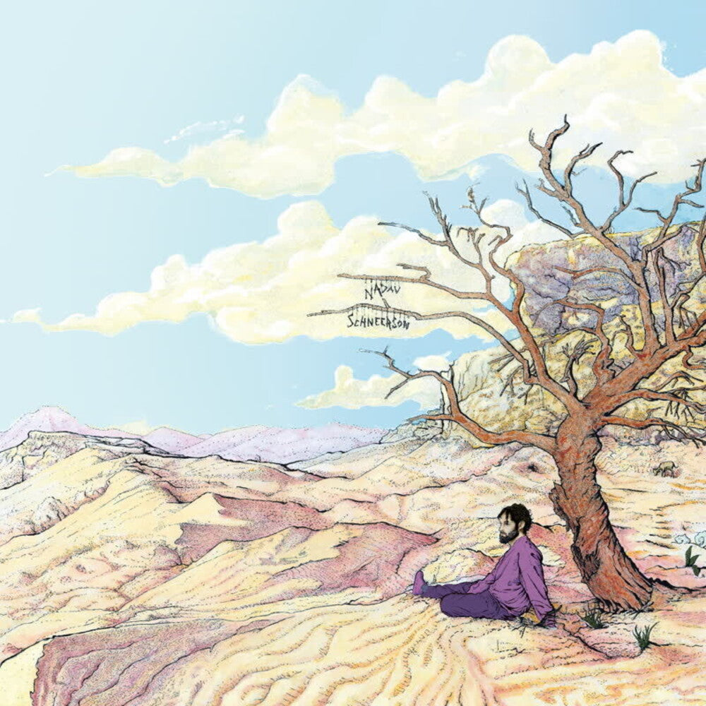 the album cover for Nadav Schneerson - Sheva
