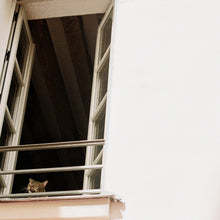 the album cover for M(H)Aol - Something Soft