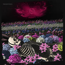 the album cover for Dead Rabbitts - Redefined