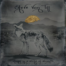 the album cover for Von Till, Steve - Alone In A World Of Wounds