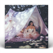 the album cover for Julia Mestre - Maravilhosamente Bem (Ofgv)