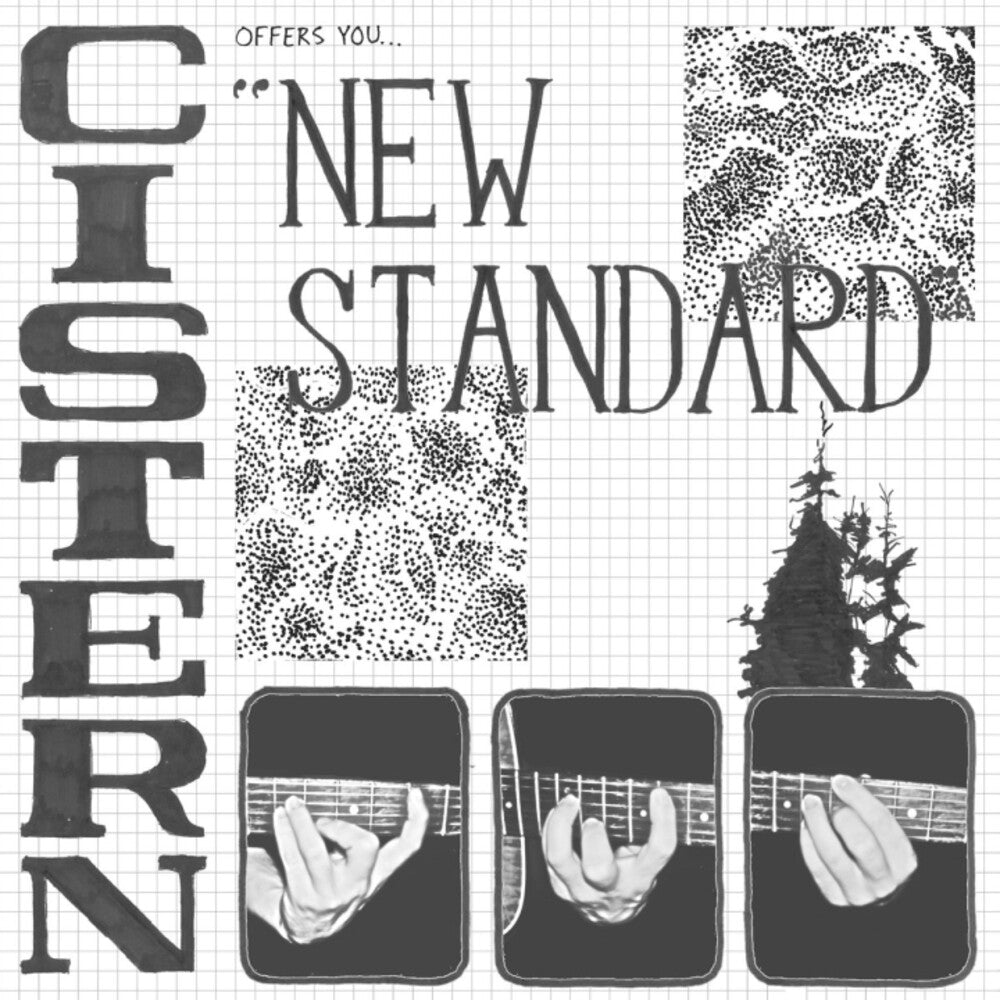the album cover for Cistern - New Standard
