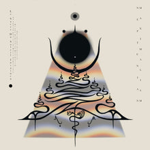 the album cover for Neptunian Maximalism - Le Sacre Du Soleil Invaincu