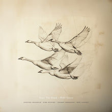 the album cover for Near The Pond - Wild Geese