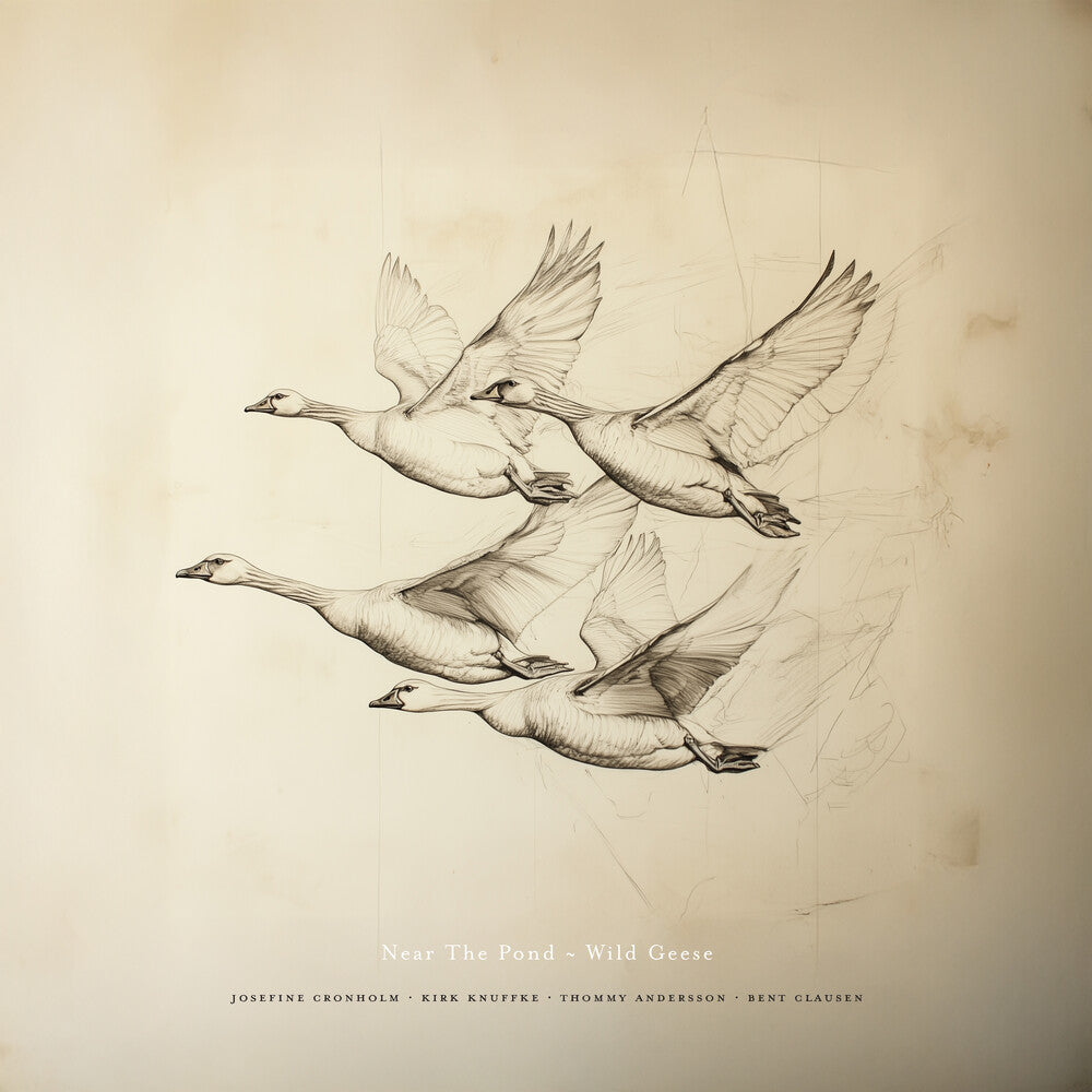 the album cover for Near The Pond - Wild Geese