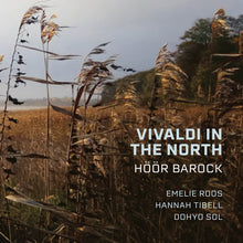 the album cover for Höör Barock - Vivaldi In The North