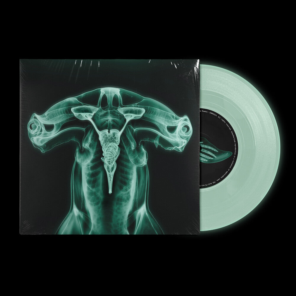 the album cover for Eartheater & Shygirl - Shark Brain / Dolphin [Colored Vinyl]