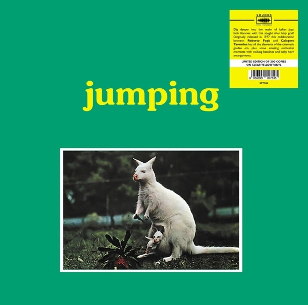 the album cover for Fogu, Roberto / Calogero Taormina - Jumping