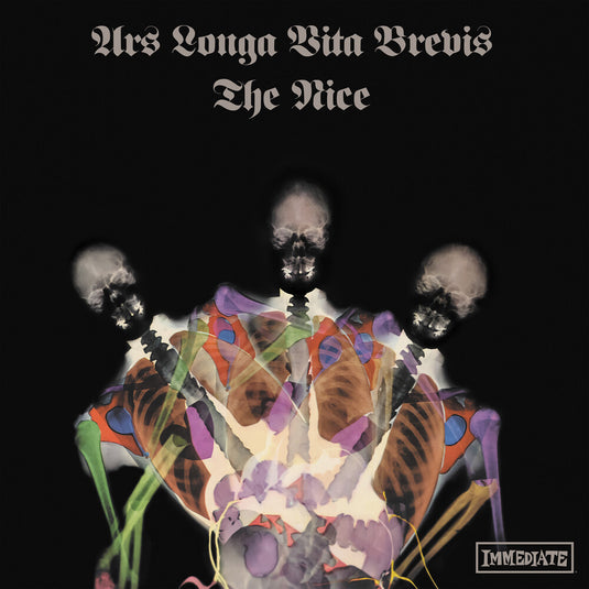 the album cover for Nice - Ars Longa Vita Brevis - X-Ray Marbled [Colored Vinyl] [Limited Edition]