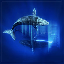 Naked Soul - Reverb From The Depths [LP] Vinyl Record