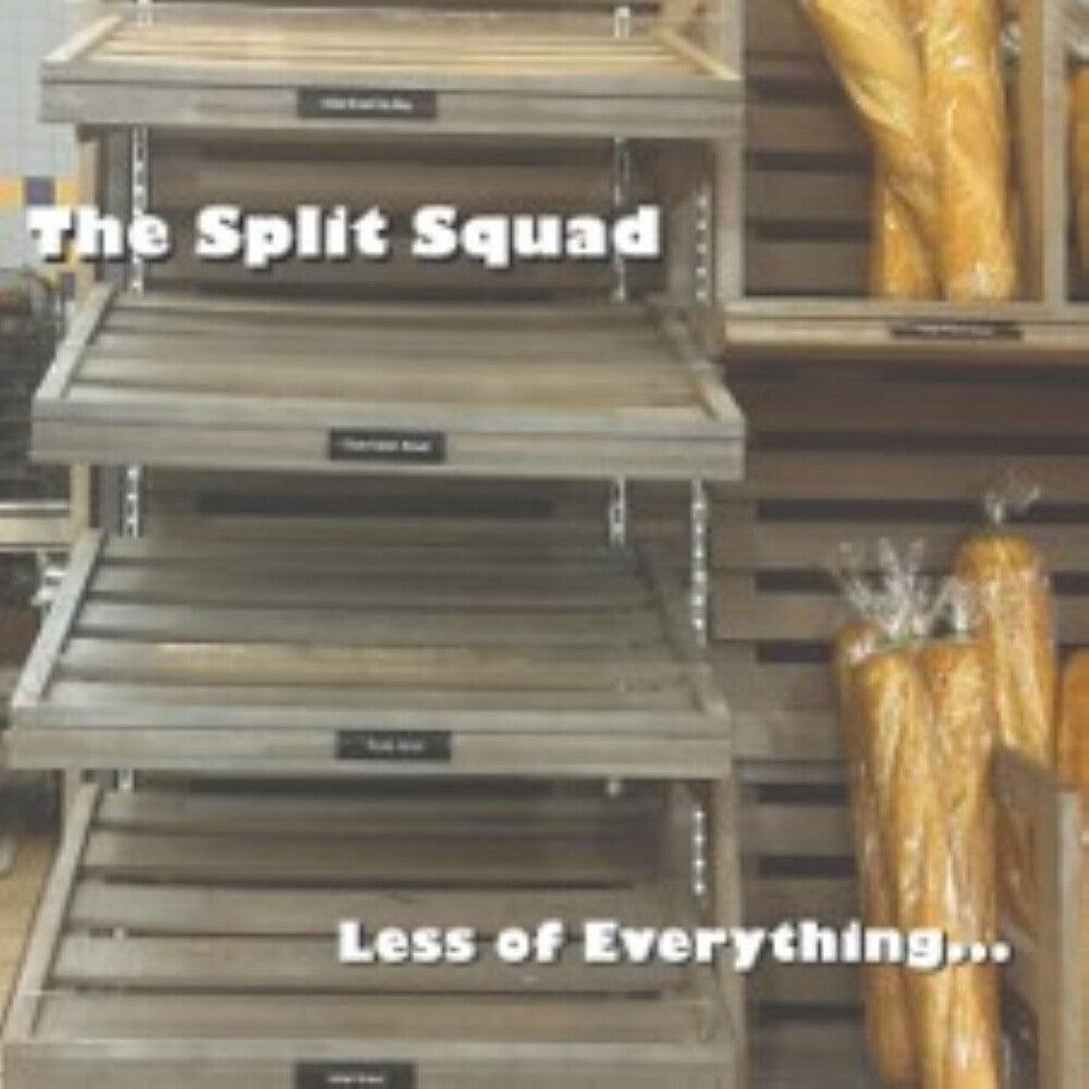 the album cover for Split Squad - Less Of Everything