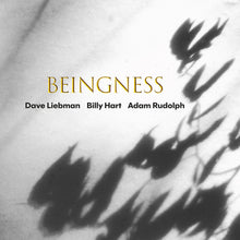 the album cover for Dave Liebman  / Hart,Billy / Rudolph,Adam - Beingness