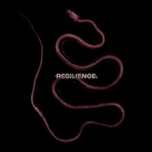 the album cover for Throatcut. - Resilience. (Blk) [Colored Vinyl] [Limited Edition] (Red)