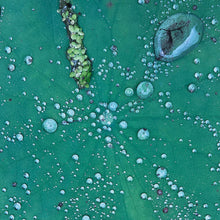 the album cover for Peter Chilvers - Dust 1 (10in)