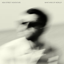 the album cover for New Street Advanture - What Kind Of World?