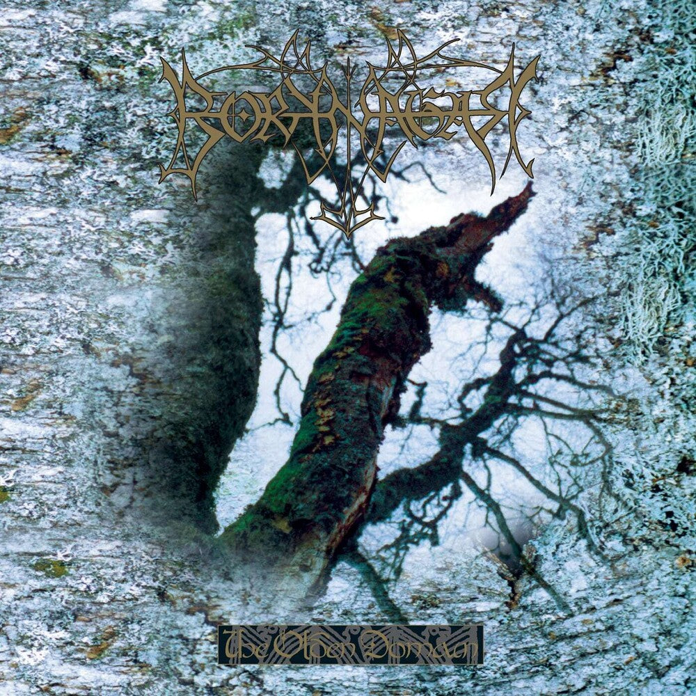 the album cover for Borknager - Olden Domain