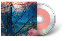 the album cover for Idlewild - Idlewild