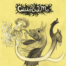 the album cover for Ciccio & 2mo - Bouc & Rouages